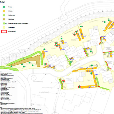 Garden Design Norfolk