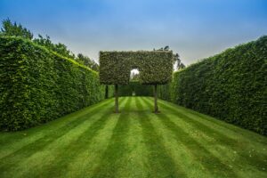 Pleached arch at East Ruston Gardens